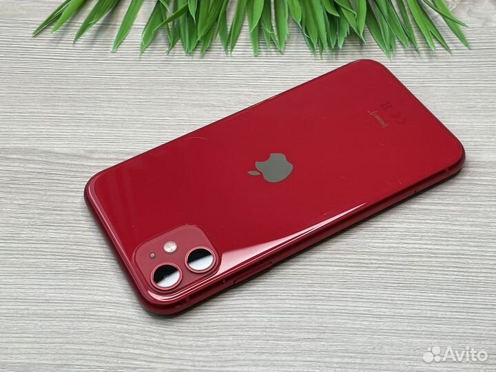iPhone 11 64GB Red
