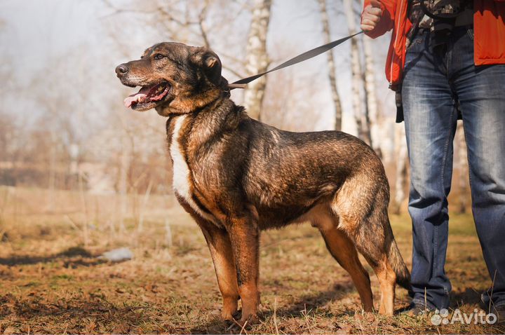 Отличный мальчик ждёт свою семью