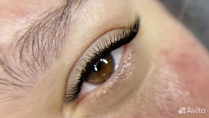 Ресницы,брови дагомыс(за 1,5 часа) (обучение)