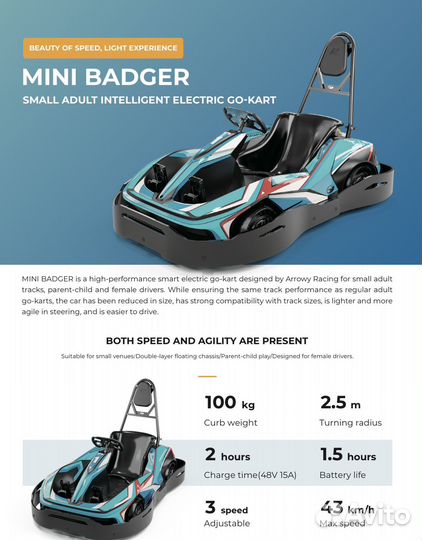 Электрический картинг