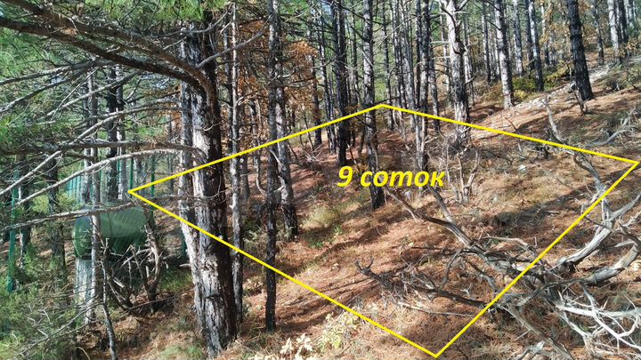 Участок 9 сот. (ИЖС)