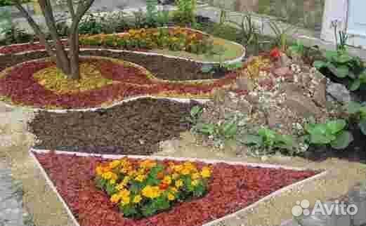 Кора лиственницы