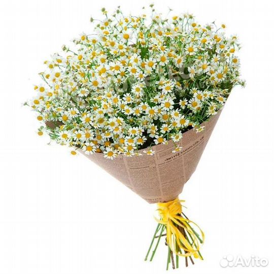 Ромашки для юбилея