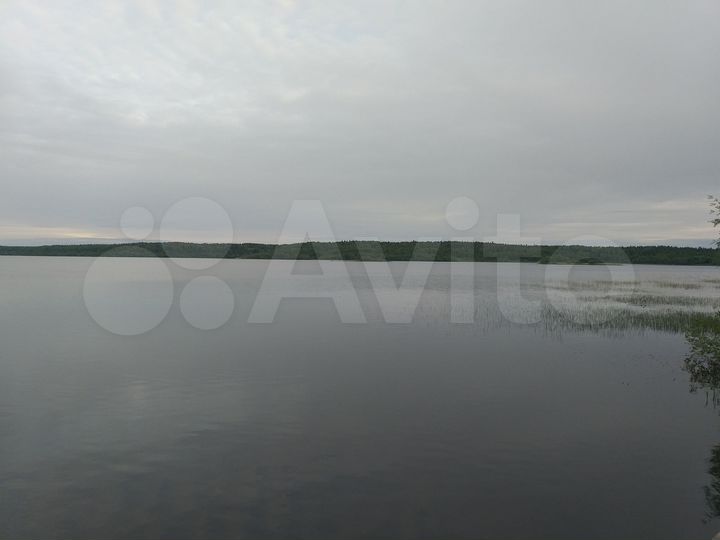 Участок 5,5 сот. (ИЖС)