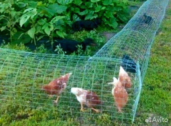 Сварная сетка для вольеров/клеток от производителя