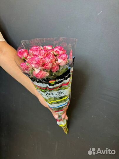 Роза кустовая Опт