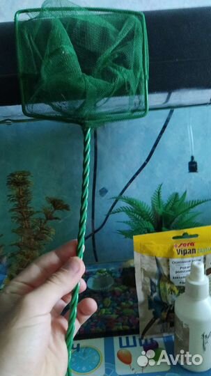 Аквариум с рыбками