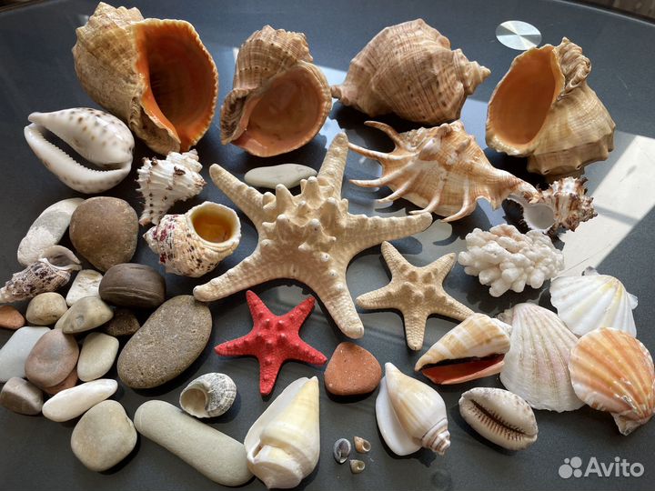 Декор для аквариума