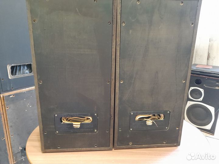 Колонки Вега 25ас - 109 - 2