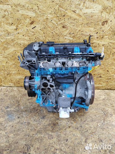 Двигатель Ford Focus 2 C-max Hxda