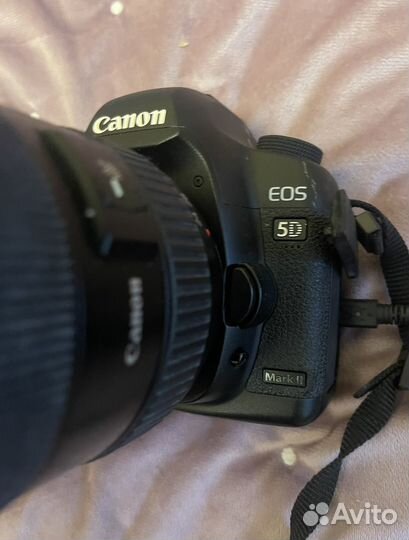 Зеркальный фотоаппарат Canon EOS 5D Mark II