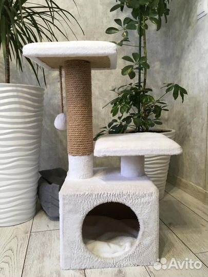 Туалет лоток для кошек