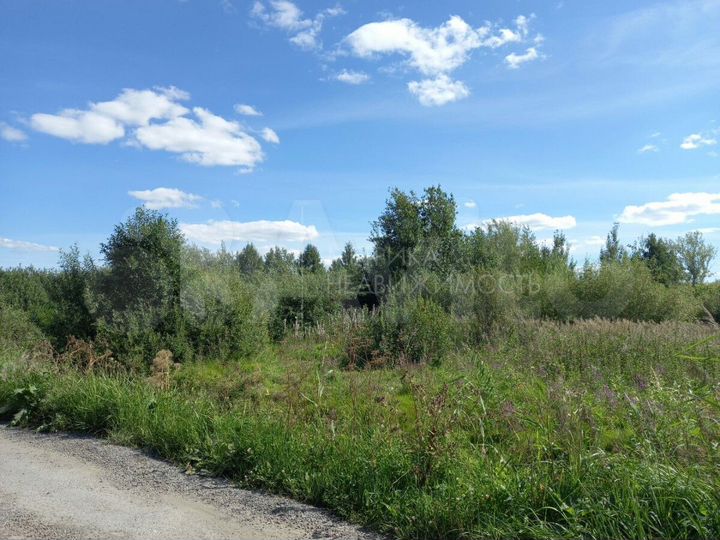 Участок 8,9 сот. (СНТ, ДНП)