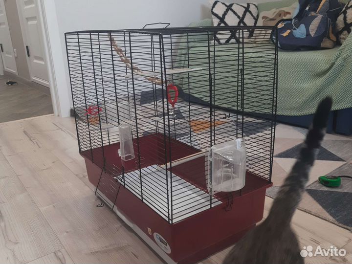 Клетка для среднего попугая