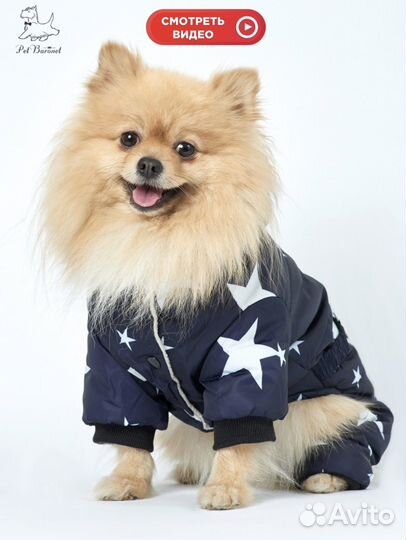 Комбинезон для собаки