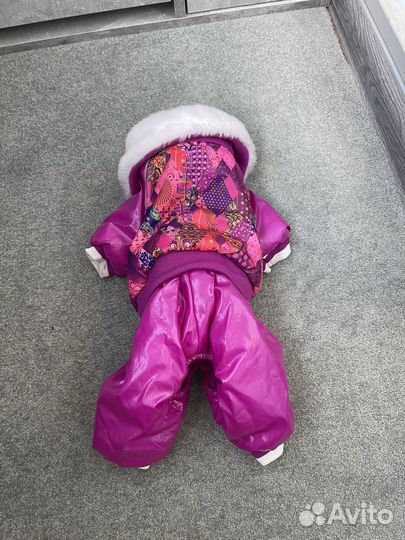 Одежда для маленьких пород собак