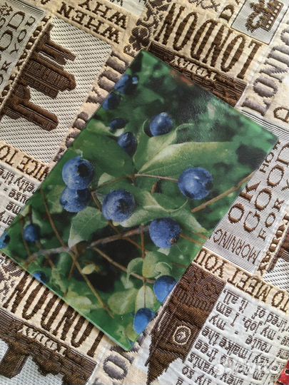 Давилка, солонка, бирдекели, формочки, доска