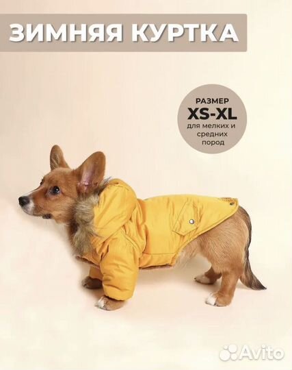 Одежда для собак мелких пород, куртка, парка