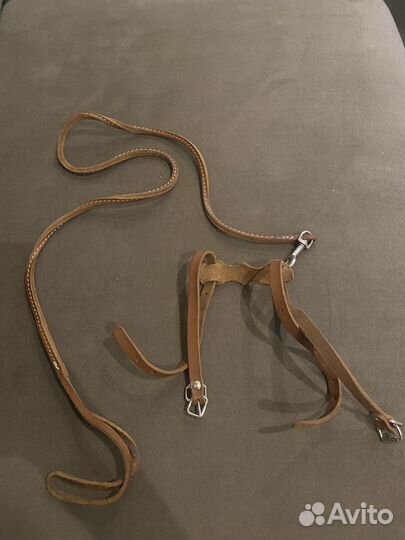 Поводок для кота или маленькой собаки