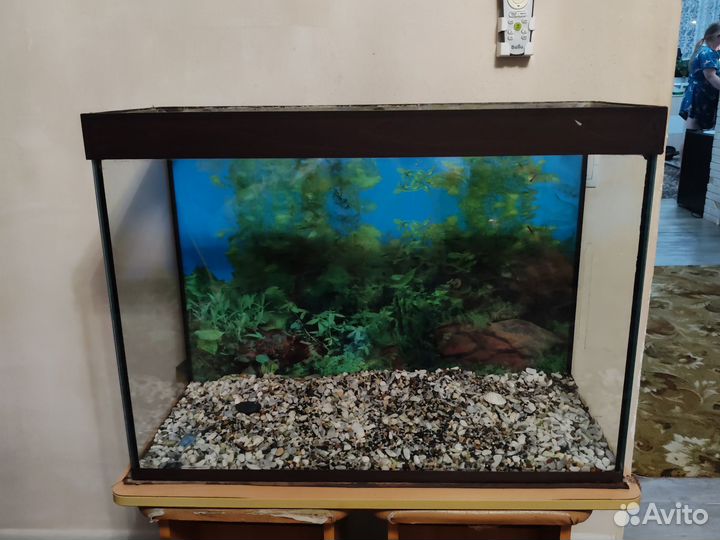 Аквариум 130 литров