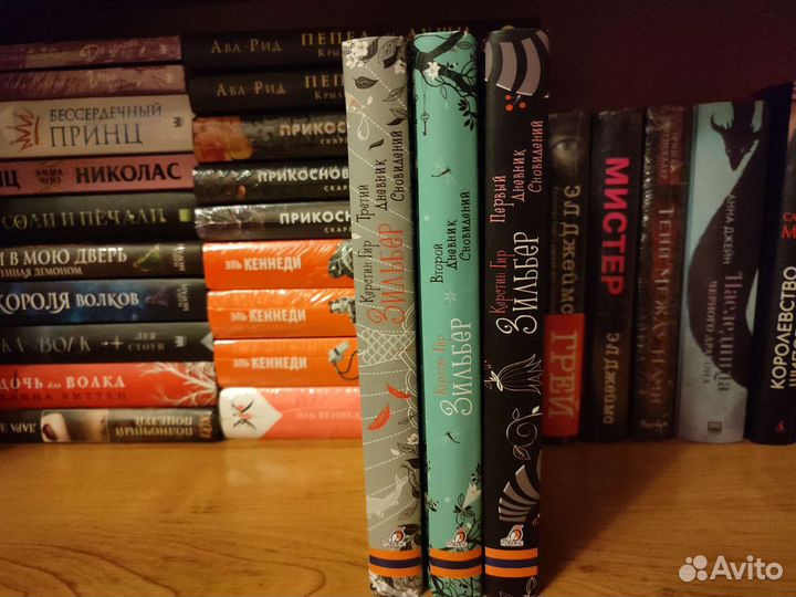 Зильбер дневники сновидений