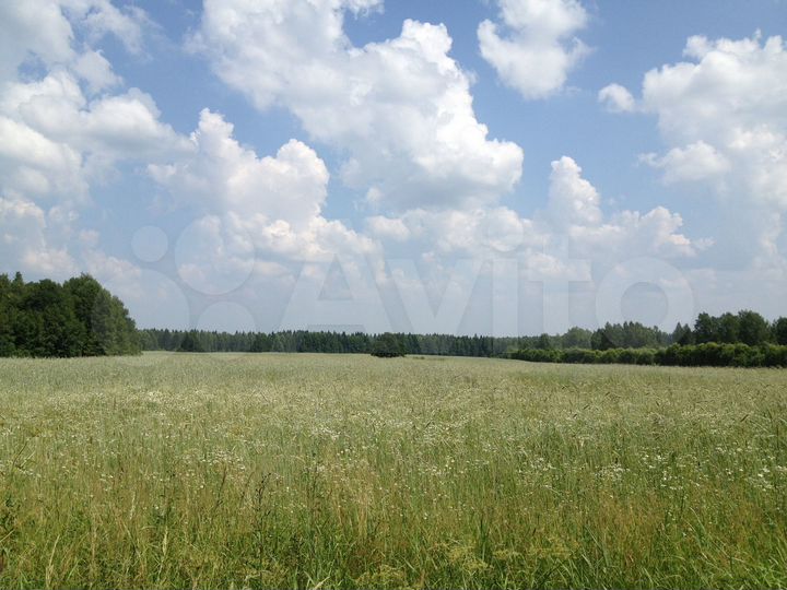 Участок 5000 га (СНТ, ДНП)