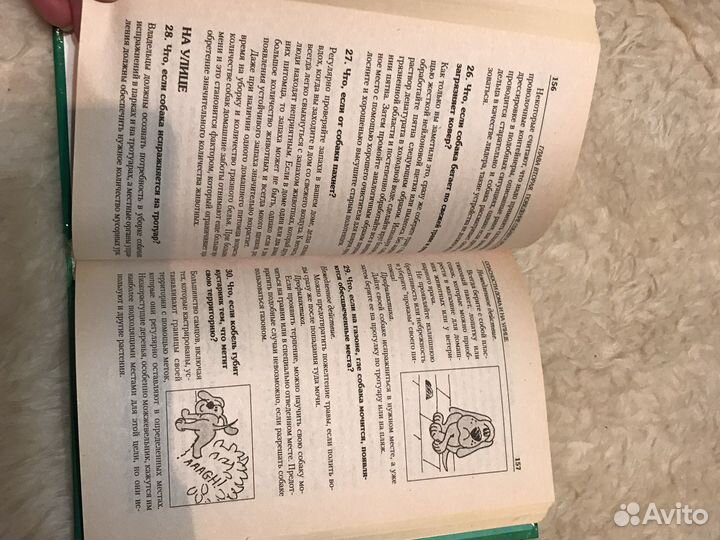 Справочник Книга по содержанию собак