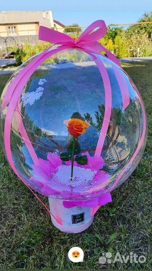 Роза в шаре