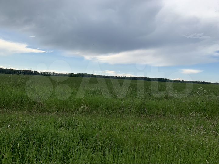 Участок 20,5 сот. (ИЖС)