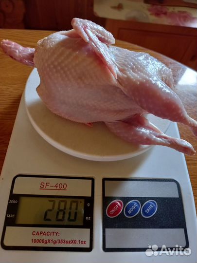 Перепеламясо и яйцо