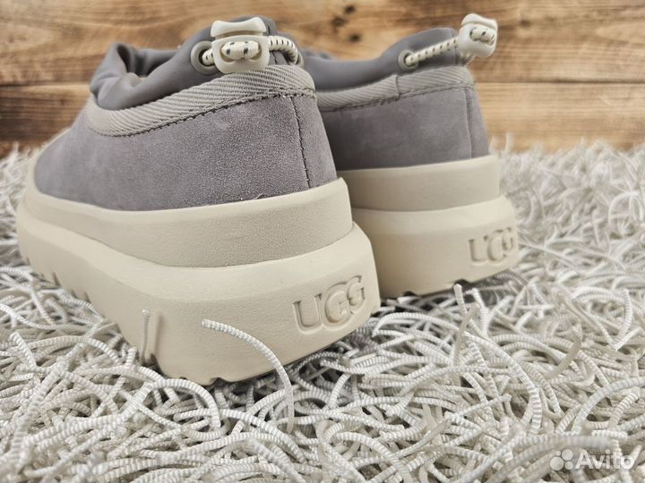 Угги UGG Tasman Hybrid Seal Birch женские оригинал