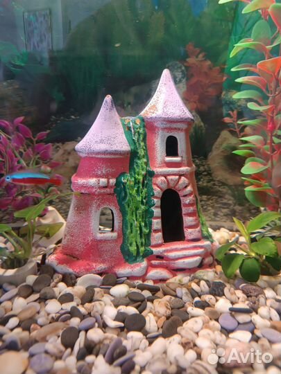 Аквариум с рыбками