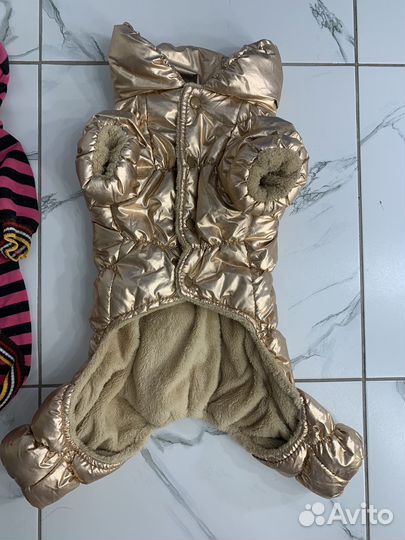 Одежда для собак средних пород