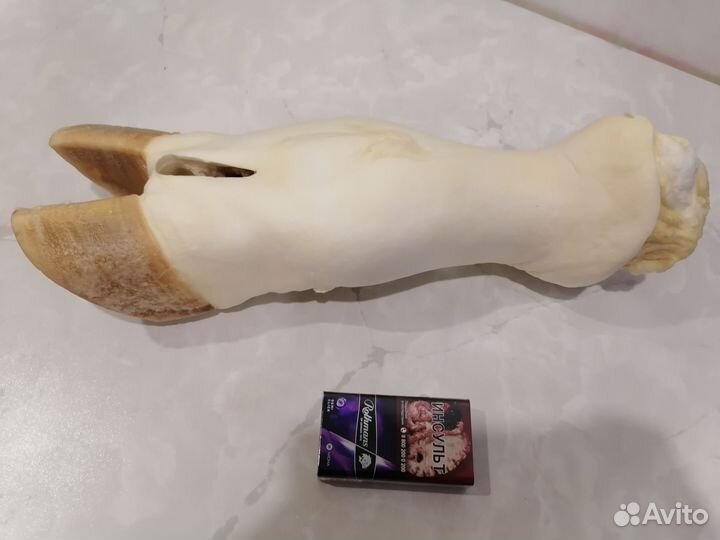 Лакомства для собак Нога говяжья большая 1100 г