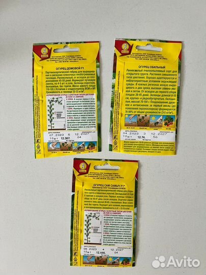 Рассада огурцов