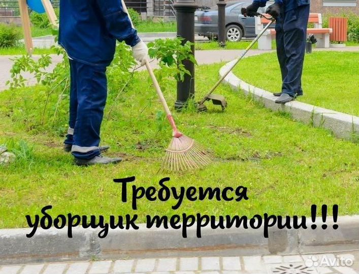 Дворник (уборщик территории)