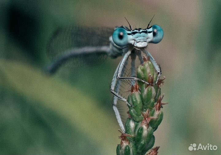 Макро кольца 3 шт для Canon Eos