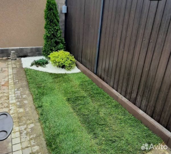 Газон в рулонах