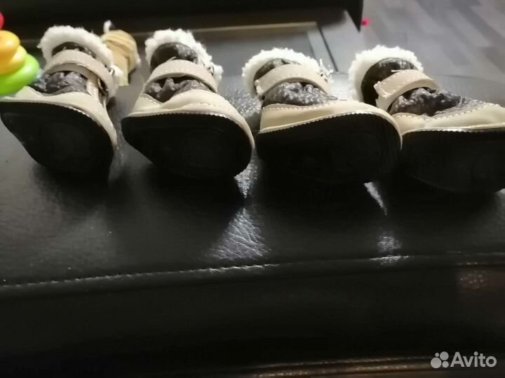 Обувь для маленьких собак