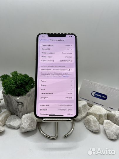iPhone Xs Max, 256 ГБ
