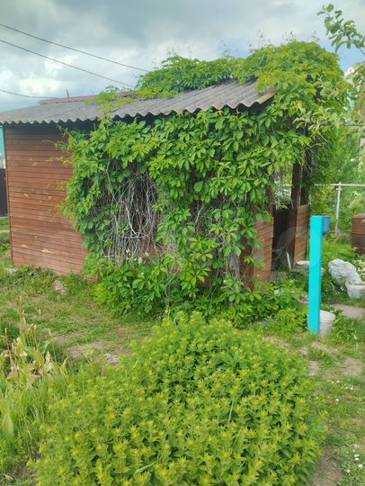 Участок 7 сот. (СНТ, ДНП)