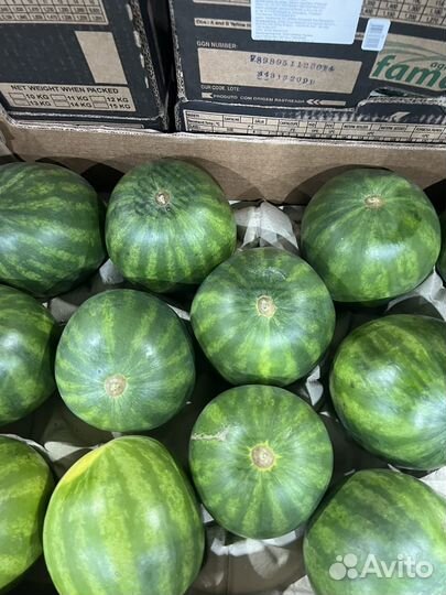 Мини арбуз свежи