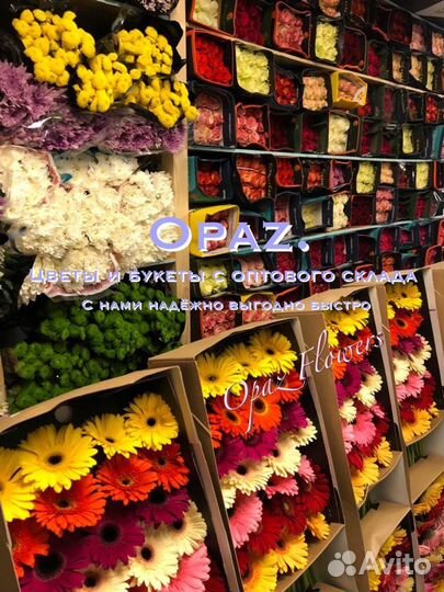 101 роза 70см Цветы с доставкой