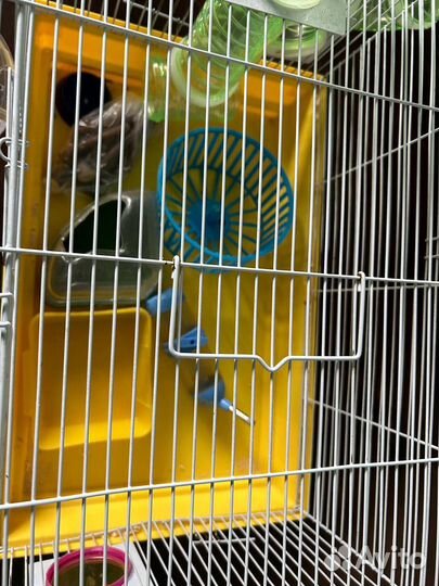 Клетка для грызунов