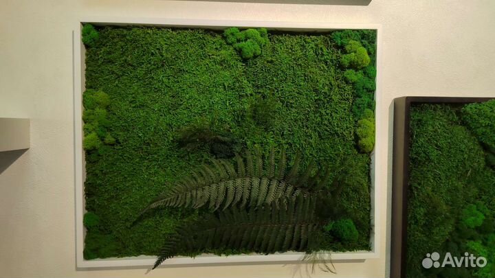Панно из стабилизированного мха в наличии