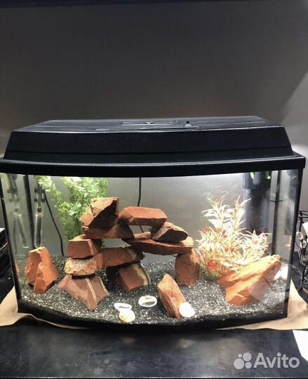 75 литров полный комплект аквариум