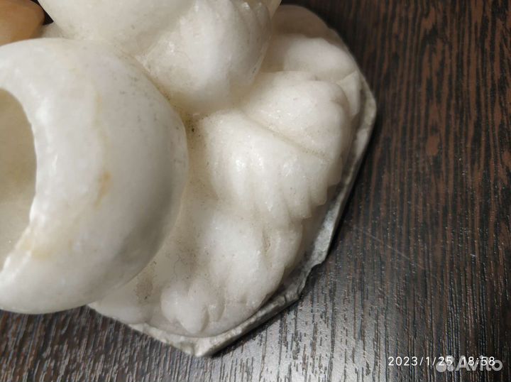 Грибы, мрамор