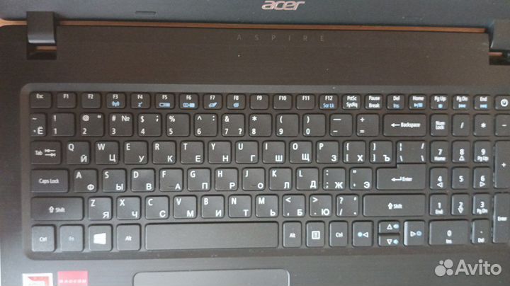 Acer