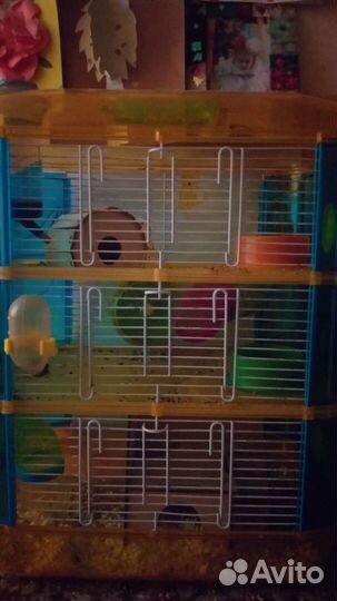 Хомяк с клеткой