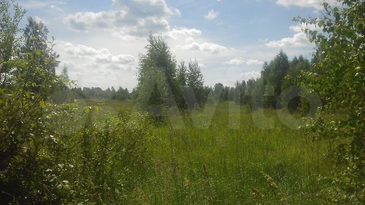 Участок 50 сот. (ИЖС)